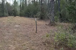 51235 Phillipsville Rd, Bay Minette, AL 36507 - Photo 58