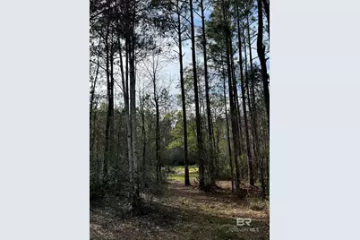 51235 Phillipsville Road, Bay Minette, AL 36507 - Photo 52