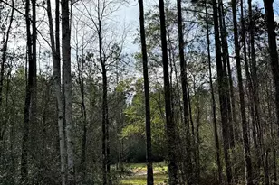 51235 Phillipsville Rd, Bay Minette, AL 36507 - Photo 52