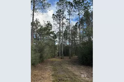 51235 Phillipsville Road, Bay Minette, AL 36507 - Photo 60