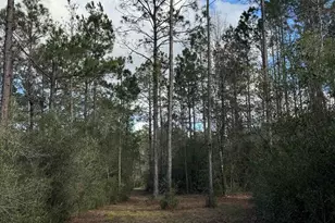 51235 Phillipsville Rd, Bay Minette, AL 36507 - Photo 60