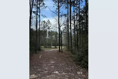 51235 Phillipsville Road, Bay Minette, AL 36507 - Photo 54