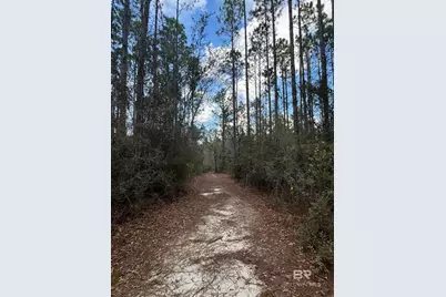 51235 Phillipsville Road, Bay Minette, AL 36507 - Photo 56