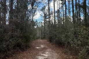 51235 Phillipsville Rd, Bay Minette, AL 36507 - Photo 56