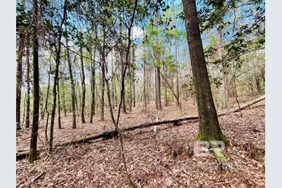 002 Phillipsville Road, Bay Minette, AL 36507 - Photo 1