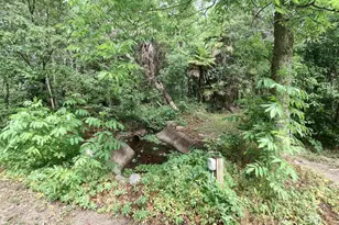 13175 Illinois St, Elberta, AL 36530 - Photo 92