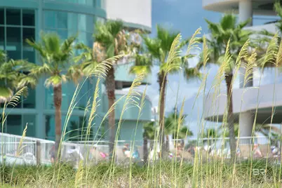 26350 Perdido Beach Boulevard #C2402, Orange Beach, AL 36561 - Photo 64