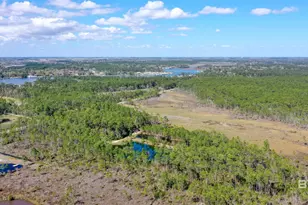 0 County Road 6, Gulf Shores, AL 36561 - Photo 1