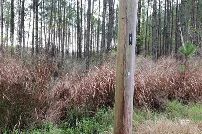 0 County Road 6, Gulf Shores, AL 36561 - Photo 2