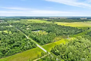 20800 Co Rd 87, Robertsdale, AL 36567 - Photo 42