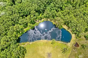 20800 Co Rd 87, Robertsdale, AL 36567 - Photo 38