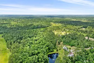 20800 Co Rd 87, Robertsdale, AL 36567 - Photo 46