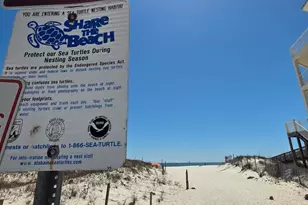 649 Cherokee Rd, Gulf Shores, AL 36542 - Photo 40