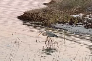 649 Cherokee Rd, Gulf Shores, AL 36542 - Photo 44