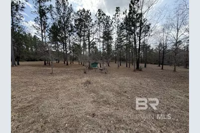 19225 Joan Harris Road, Mount Vernon, AL 36560 - Photo 8