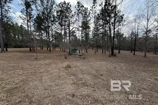 19225 Joan Harris Rd, Mount Vernon, AL 36560 - Photo 8