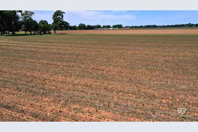 0 Highway 89, Jay, FL 32565 - Photo 14