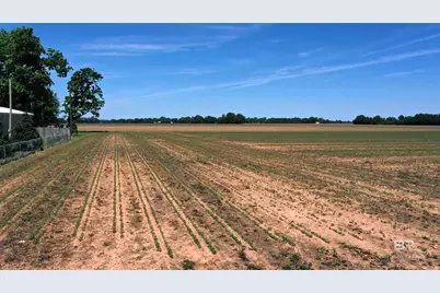 0 Highway 89, Jay, FL 32565 - Photo 20