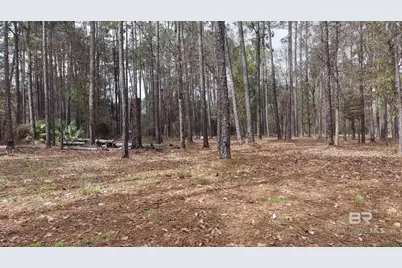 0 Wolf Bay Drive, Foley, AL 36535 - Photo 22