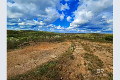 0 County Road 79, Waterloo, AL 36577 - Photo 1