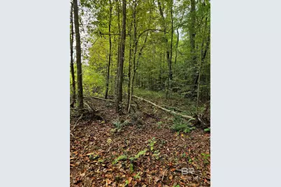 0 County Road 79, Waterloo, AL 36577 - Photo 38