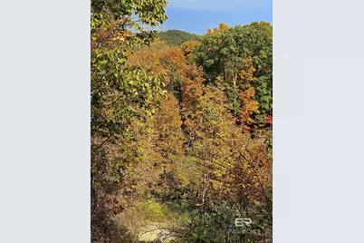 0 County Road 79, Waterloo, AL 36577 - Photo 42