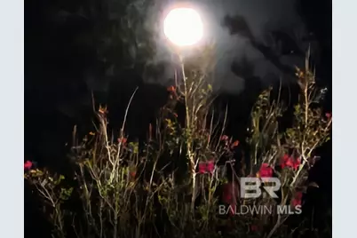 0 County Road 79, Waterloo, AL 36577 - Photo 16