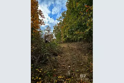 0 County Road 79, Waterloo, AL 36577 - Photo 26