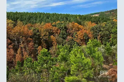 0 County Road 79, Waterloo, AL 36577 - Photo 2
