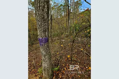 0 County Road 79, Waterloo, AL 36577 - Photo 32