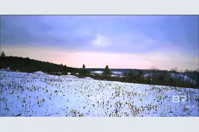 0 County Road 79, Waterloo, AL 36577 - Photo 10