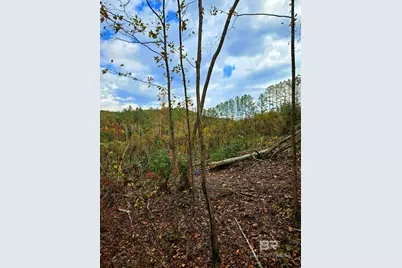 0 County Road 79, Waterloo, AL 36577 - Photo 24