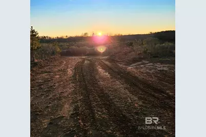 0 County Road 79, Waterloo, AL 36577 - Photo 22