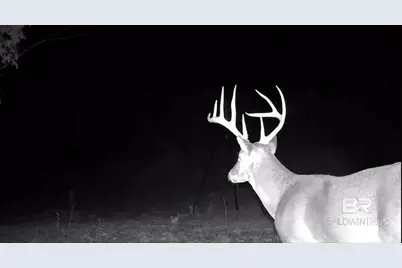 0 County Road 79, Waterloo, AL 36577 - Photo 18