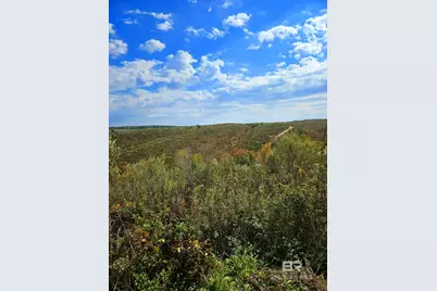 0 County Road 79, Waterloo, AL 36577 - Photo 36