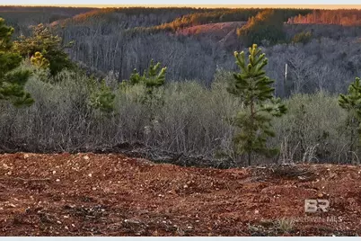 0 County Road 79, Waterloo, AL 36577 - Photo 6