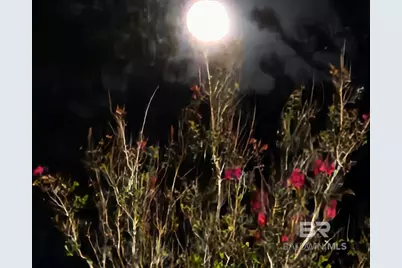 0 County Road 79, Waterloo, AL 36577 - Photo 12