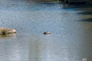 12775 River Creek Dr, Fairhope, AL 36532 - Photo 92