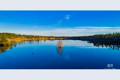 34360 Steelwood Ridge Road, Loxley, AL 36551 - Photo 12