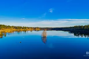 34360 Steelwood Ridge Rd, Loxley, AL 36551 - Photo 12