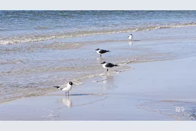 25770 Blufton Avenue, Orange Beach, AL 36561 - Photo 72