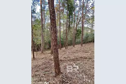 0 Blakeley Oaks Drive, Spanish Fort, AL 36527 - Photo 6