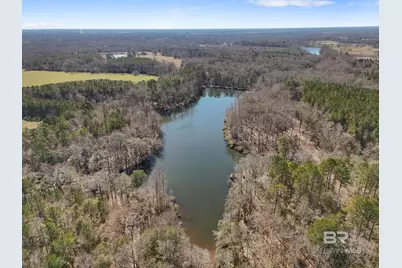 11265 State Highway 14, Greensboro, AL 36744 - Photo 94