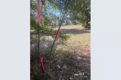 317 Magnolia Drive, Gulf Shores, AL 36542 - Photo 4