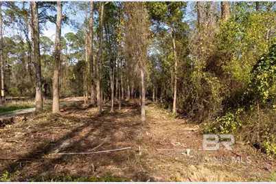 0 Shore Drive, Foley, AL 36535 - Photo 6