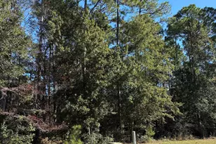 Lot 85 Treasure Oaks Rd, Gulf Shores, AL 36542 - Photo 1
