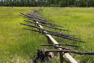 31691 Bramshell Dr, Spanish Fort, AL 36527 - Photo 22