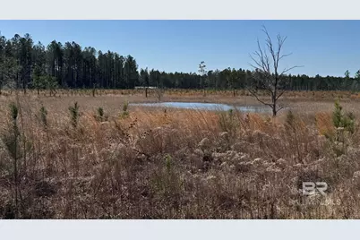 2 County Road 64, Robertsdale, AL 36567 - Photo 24
