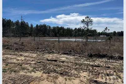 2 County Road 64, Robertsdale, AL 36567 - Photo 8