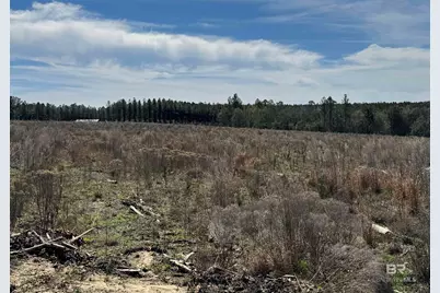 2 County Road 64, Robertsdale, AL 36567 - Photo 10